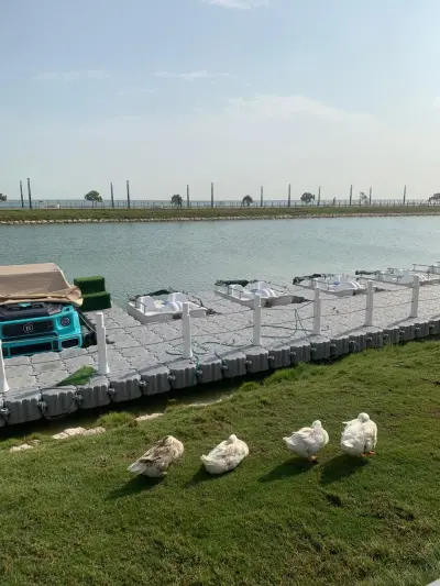 بحيرة البط