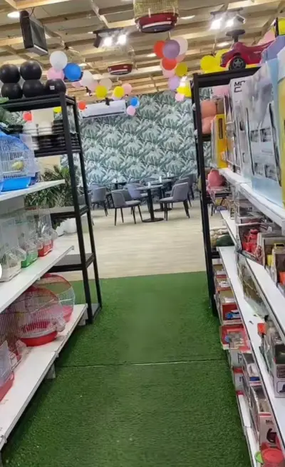 منتزه قمر لاند